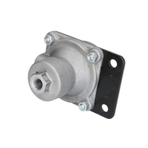 PNEUMATICS Relaisventil PN-10124