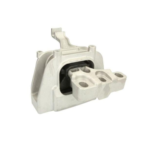 REINHOCH Lagerung, Motor RH11-0092