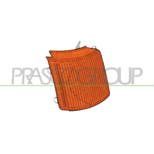 PRASCO Blinkleuchte TYC FD9044003