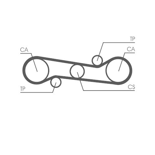 CONTINENTAL CTAM Zahnriemen CT581