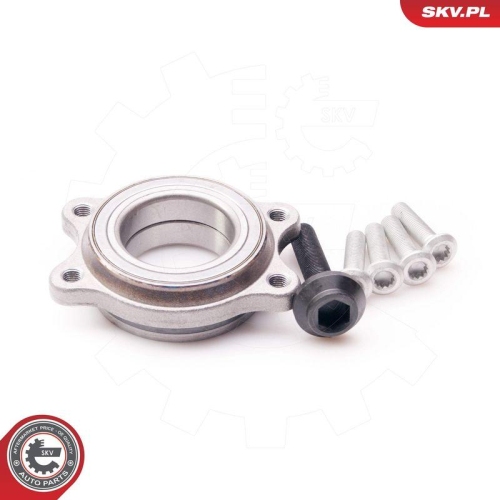 ESEN SKV Radlagersatz 29SKV087