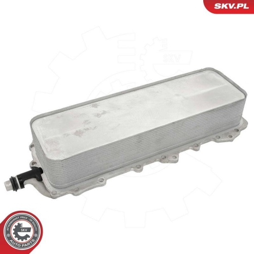 ESEN SKV &Ouml;lk&uuml;hler, Motor&ouml;l 31SKV361