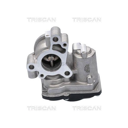 TRISCAN AGR-Ventil 8813 10056