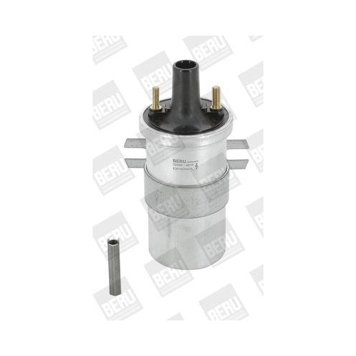 BorgWarner (BERU) Z&uuml;ndspule ZS546