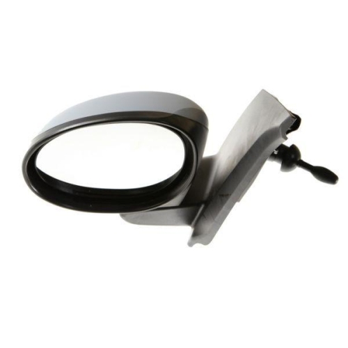 BLIC Außenspiegel 5402-04-1191857P