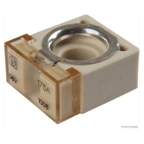 HERTH+BUSS ELPARTS Sicherung 50295885