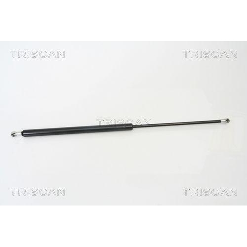 TRISCAN Gasfeder, Koffer-/Laderaum 8710 25228