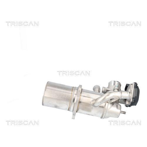 TRISCAN AGR-Ventil 8813 29117