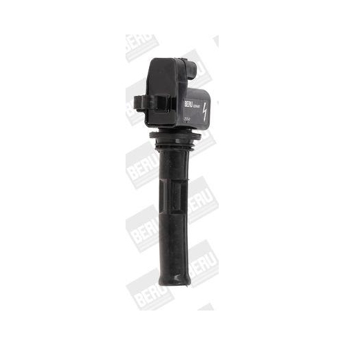 BorgWarner (BERU) Z&uuml;ndspule ZS549