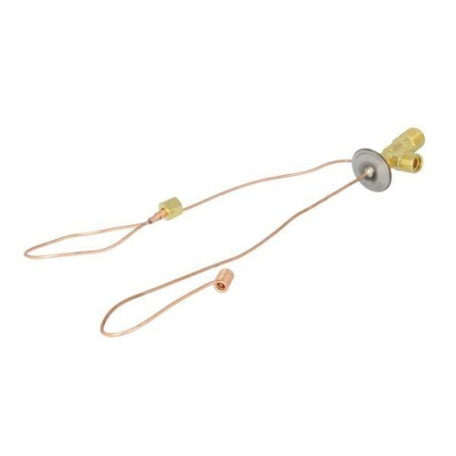 THERMOTEC Expansionsventil, Klimaanlage KTT140058