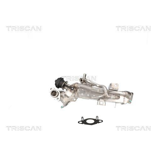 TRISCAN K&uuml;hler, Abgasr&uuml;ckf&uuml;hrung 8813 11024