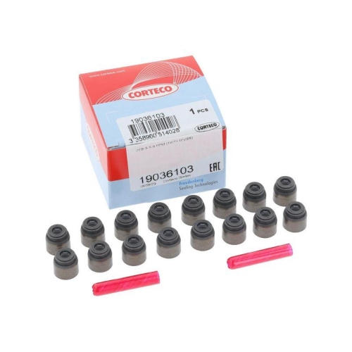 CORTECO Dichtungssatz, Ventilschaft 19036103