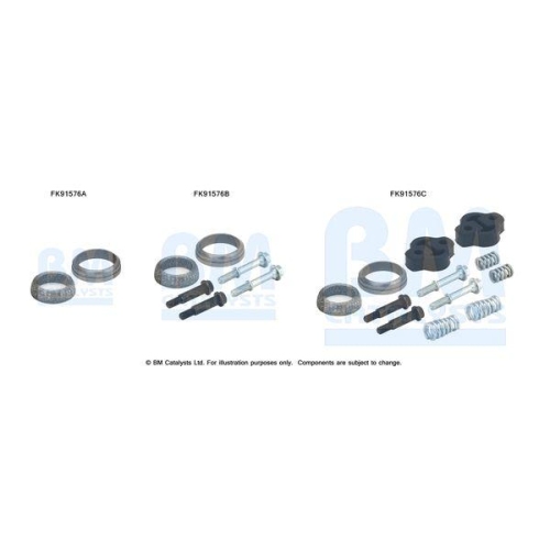 BM Catalysts Montagesatz, Katalysator FK91576