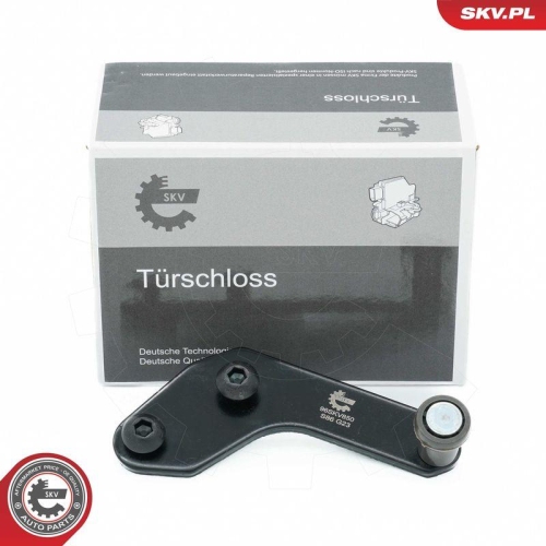 ESEN SKV Rollenf&uuml;hrung, Schiebet&uuml;r