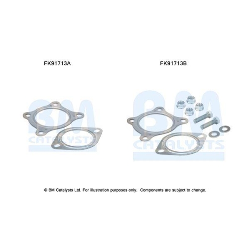 BM Catalysts Montagesatz, Katalysator FK91713