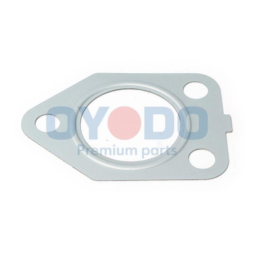 Oyodo Dichtung, Turbineneinlass (Lader)