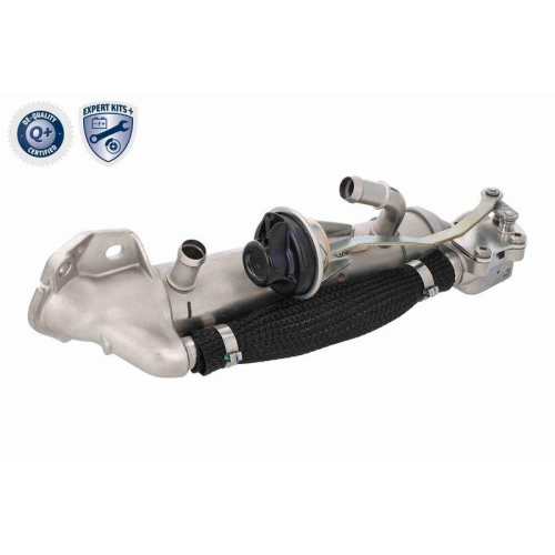 VEMO K&uuml;hler, Abgasr&uuml;ckf&uuml;hrung EXPERT KITS + V25-63-0076