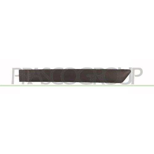 PRASCO Zier-/Schutzleiste, T&uuml;r FD3421454