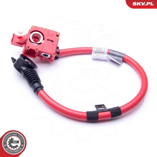 ESEN SKV Batterieadapter 96SKV306