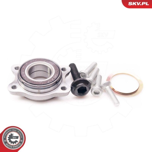 ESEN SKV Radlagersatz 29SKV098