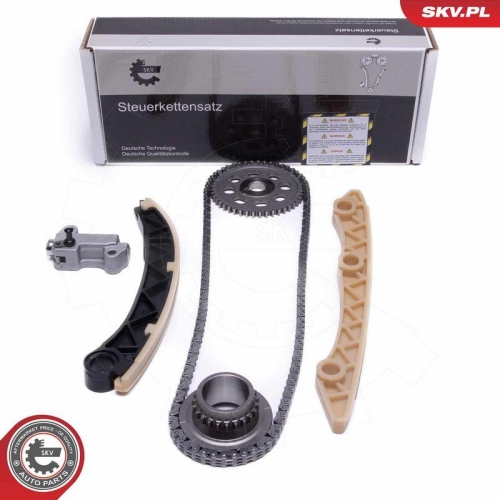 ESEN SKV Steuerkettensatz 21SKV253