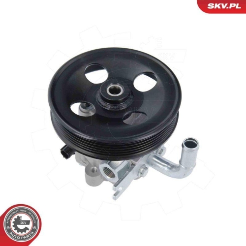 ESEN SKV Hydraulikpumpe, Lenkung