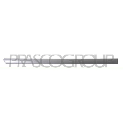 PRASCO Zier-/Schutzleiste, T&uuml;r VG0341463