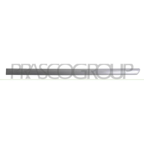 PRASCO Zier-/Schutzleiste, T&uuml;r VG0341464