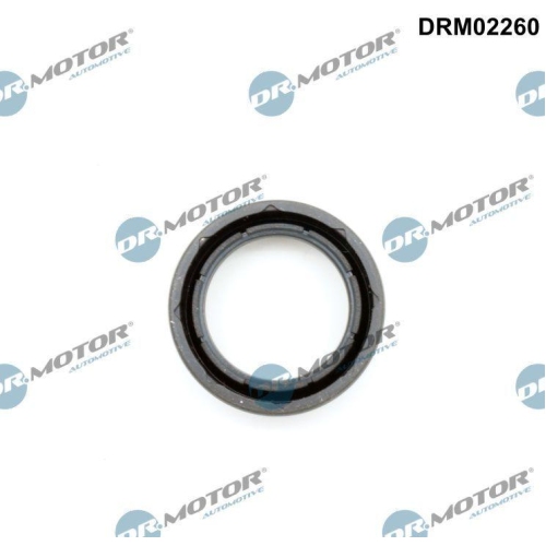 Dr.Motor Automotive Dichtring, Kerzenschacht