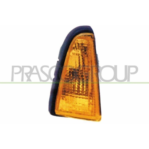 PRASCO Blinkleuchte TYC FT0174003