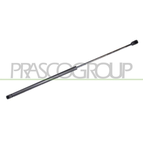 PRASCO Gasfeder, Koffer-/Laderaum FD4289055