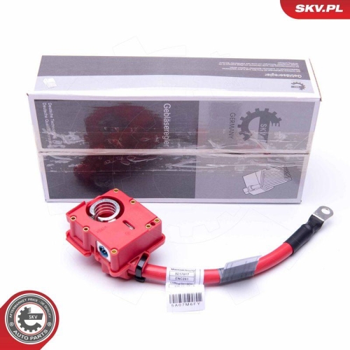 ESEN SKV Batterieadapter 96SKV309