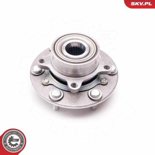 ESEN SKV Radlagersatz 29SKV100