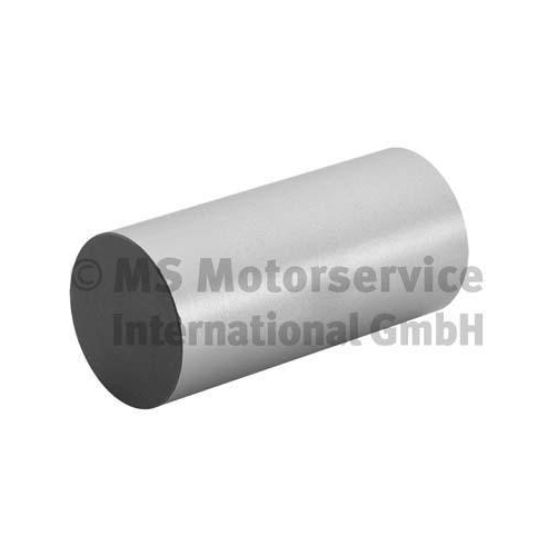 BF Ventilstößel 20100335260