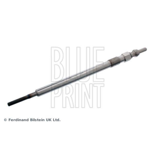 BLUE PRINT Glühkerze ADA101803