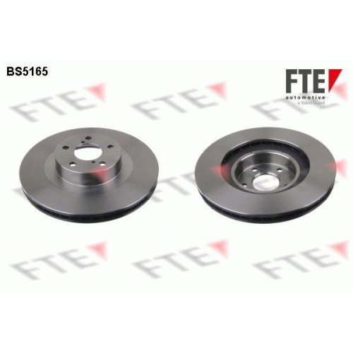 FTE Bremsscheibe 9072183