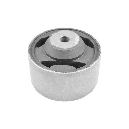 TEDGUM Lagerung, Motor