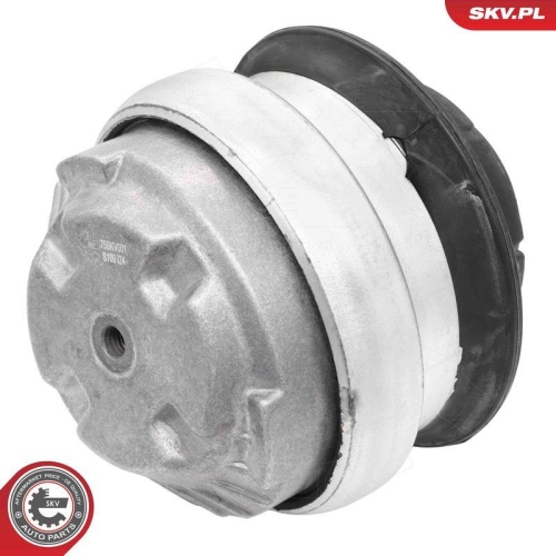 ESEN SKV Lagerung, Motor 75SKV001
