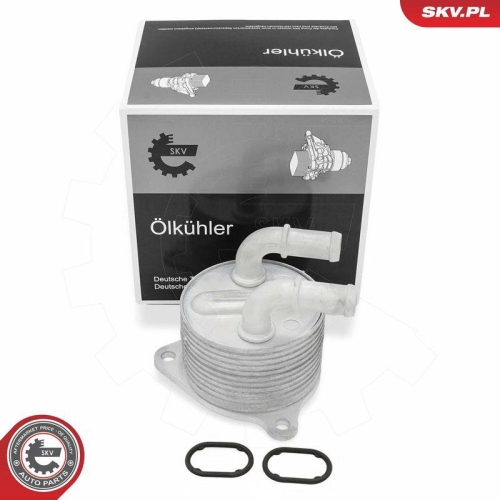 ESEN SKV &Ouml;lk&uuml;hler, Motor&ouml;l 31SKV374