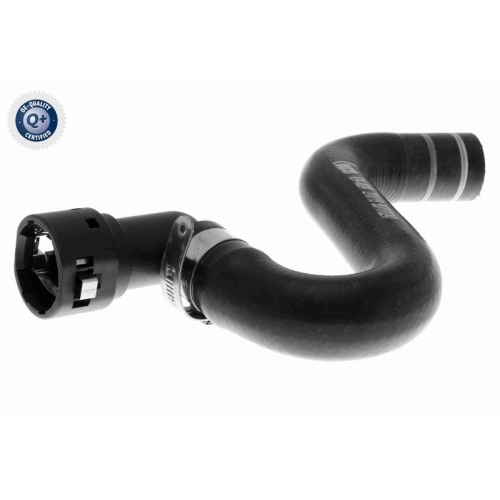 VAICO K&uuml;hlerschlauch Q+, Erstausr&uuml;sterqualit&auml;t V24-0824