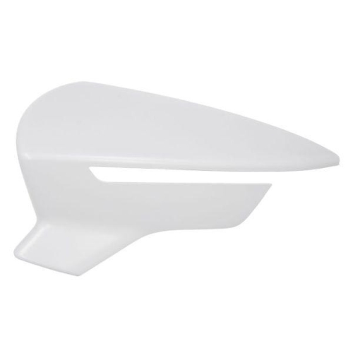 BLIC Abdeckung, Au&szlig;enspiegel 6103-10-2002307P