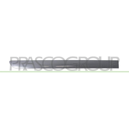 PRASCO Zier-/Schutzleiste, T&uuml;r VG0401463