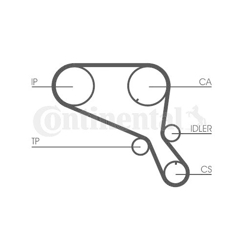 CONTINENTAL CTAM Zahnriemen CT953