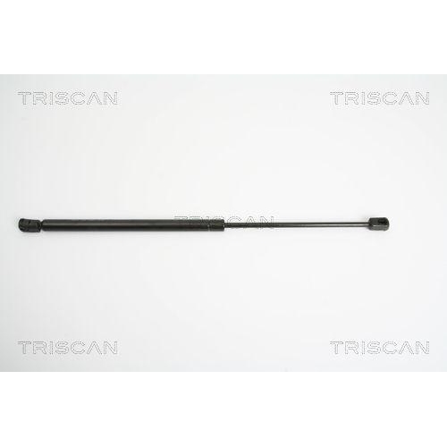 TRISCAN Gasfeder, Koffer-/Laderaum 8710 29245