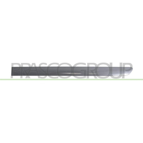 PRASCO Zier-/Schutzleiste, T&uuml;r VG0401464