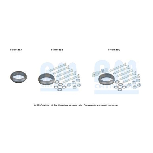 BM Catalysts Montagesatz, Katalysator FK91645