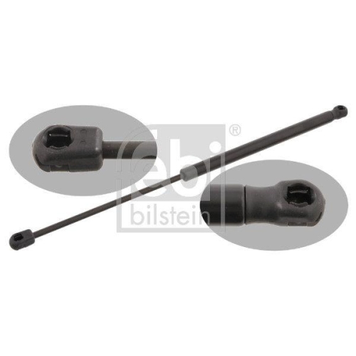 FEBI BILSTEIN Gasfeder, Heckscheibe 27891