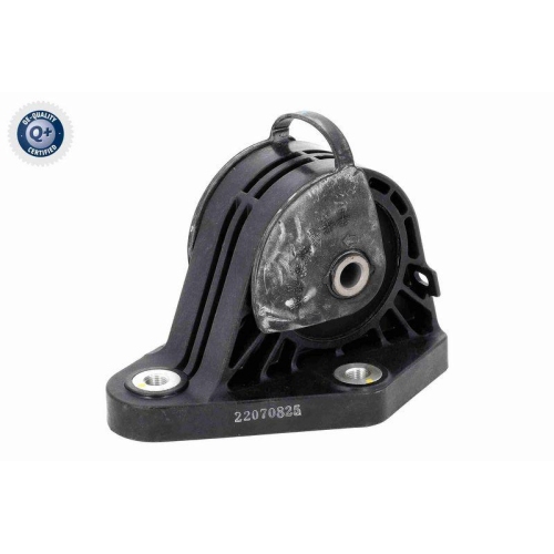 ACKOJA Lagerung, Motor Green Mobility Parts