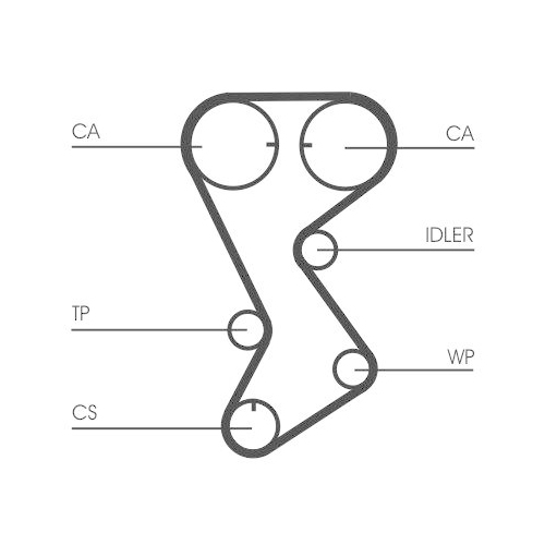 CONTINENTAL CTAM Zahnriemen CT1144