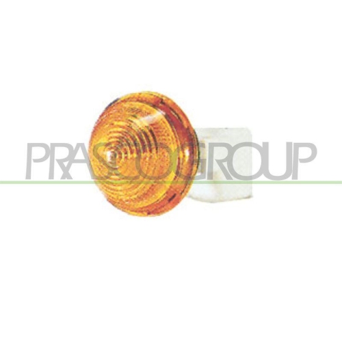 PRASCO Blinkleuchte FT0194039